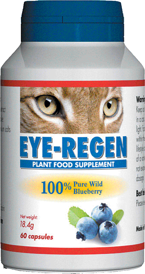 Eye Regen